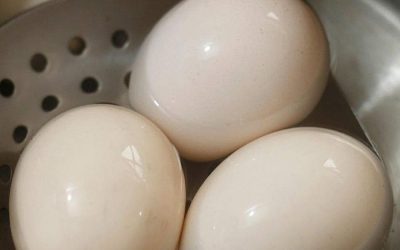 La sorprendente verdad sobre comer huevos todos los días: una fuente inagotable de nutrición, no un villano