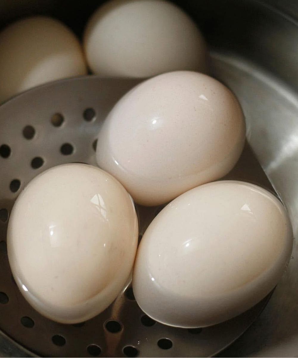 La sorprendente verdad sobre comer huevos todos los días: una fuente inagotable de nutrición, no un villano