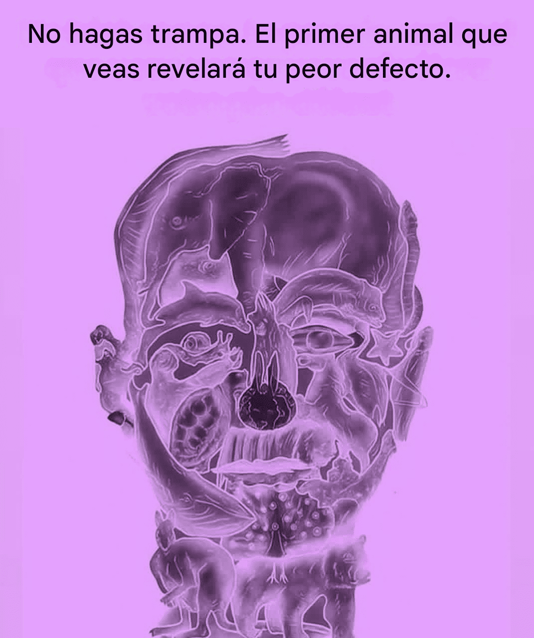 Le premier animal que vous verrez vous révélera votre pire défaut