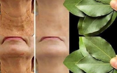Es el laurel 100.000 veces más efectivo que el bótox? | Eliminador de arrugas natural, ¡incluso a los 70!