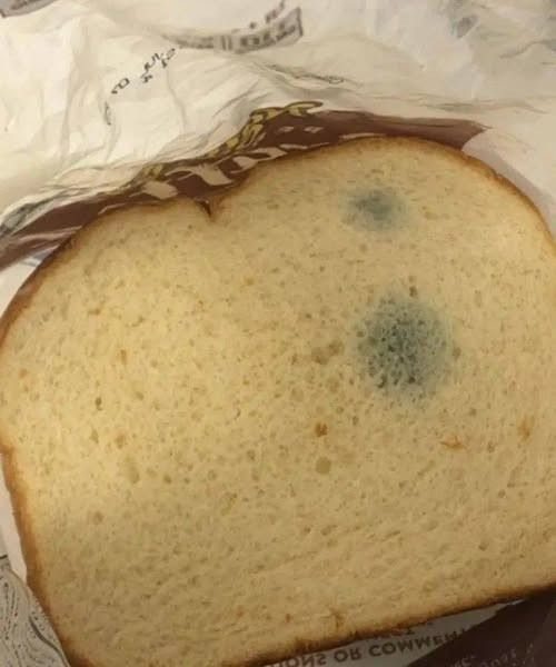 ¿Qué son estas manchas verdes en el pan? Me da miedo comerlo, y mucho menos dejar que lo coman mis hijos. Mi suegra dice que no hace daño y que no debería tirarlo.