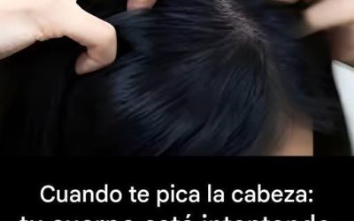 ¿Te pica la cabeza? Estas son las principales causas.