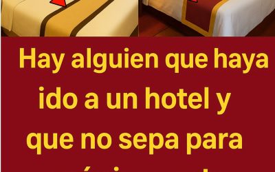 El Misterioso Pedazo de Tela en la Cama del Hotel: ¿Sabes Para Qué Sirve?6️⃣ Ayuda a disimular desgaste y extender la vida útil del colchón El extremo inferior de la cama es una zona de alto contacto: los pies, las maletas, incluso personas que se sientan en la orilla. Con el tiempo, esto produce manchas, roces y desgaste. El camino de cama actúa como una capa protectora, disimulando el uso intensivo y permitiendo que el colchón y las mantas principales duren más tiempo sin necesitar reemplazo.  Para los hoteles, esto significa un ahorro significativo en costos de mantenimiento y reposición de mobiliario. Y para los huéspedes, significa una cama que se ve siempre impecable.  7️⃣ Impacta en las reseñas y la calificación del hotel Aunque parezca increíble, pequeños detalles como este influyen en la evaluación que hacen los huéspedes. Un camino de cama bien colocado transmite cuidado, atención al detalle y profesionalismo.  En el mundo digital, donde las opiniones en Google, TripAdvisor o Booking.com tienen un impacto directo en la tasa de ocupación y en los ingresos del hotel, este tipo de elementos marcan la diferencia entre una reseña de 4 y una de 5 estrellas.  8️⃣ Su eliminación puede percibirse como reducción de calidad Algunos hoteles intentaron prescindir del camino de cama durante la pandemia para reducir superficies de contacto. Sin embargo, muchos huéspedes lo notaron y lo interpretaron como un recorte de costos o una “pérdida de nivel”.  Por eso, hoy ha vuelto con más fuerza, en versiones más higiénicas, de fácil lavado y con materiales antibacteriales. Incluso hay modelos ecológicos, alineados con la tendencia de la sustentabilidad en la industria hotelera.  9️⃣ Un recurso fotogénico que mejora el contenido en redes Influencers, bloggers y viajeros frecuentes suelen tomar fotos del hotel en el que se hospedan. Una cama bien hecha con un camino de cama contrastante hace que las fotos luzcan más atractivas.  Este recurso es clave para los hoteles que buscan aparecer en redes sociales sin tener que invertir en publicidad directa. Cuanto más “instagrameable” sea la habitación, más marketing gratuito reciben.  1️⃣0️⃣ Y por si fuera poco… ¡también lo puedes usar en casa! Este detalle decorativo no es exclusivo de los hoteles. Puedes implementarlo en tu propia habitación para darle un toque elegante, moderno y acogedor a tu cama. Además, puede ayudarte a proteger las sábanas, organizar mejor tus cobijas o simplemente decorar con estilo.  No necesitas gastar mucho: hoy existen versiones económicas en tiendas online que imitan los estilos de los hoteles boutique, lo que lo convierte en una opción accesible con alto impacto visual.  ✨ Conclusión: no subestimes ese pedacito de tela Ahora ya lo sabes: ese “pedacito de tela” al pie de la cama no está ahí por casualidad. Cumple funciones estéticas, higiénicas, operativas y hasta publicitarias.  La próxima vez que llegues a un hotel y lo veas, podrás valorarlo por lo que realmente es: un recurso versátil, estratégico y bien pensado que forma parte de una experiencia de hospedaje superior.  Y si decides usar uno en casa, no solo estarás decorando con elegancia, sino que también estarás incorporando una práctica que mejora el orden, la limpieza y el confort en tu propio espacio.  Next »