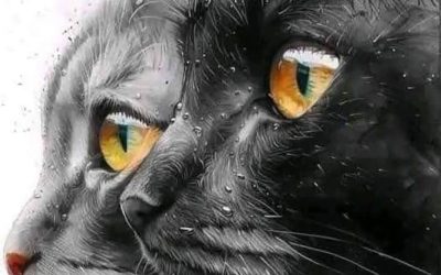 ¿Tu Gato es un Guardián del Alma? Nostradamus Reveló su Rol Milenario