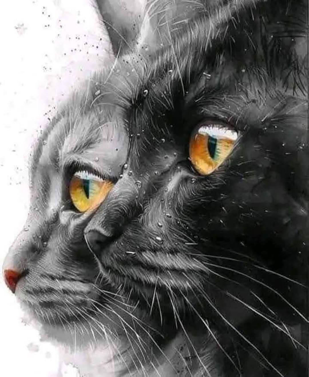¿Tu Gato es un Guardián del Alma? Nostradamus Reveló su Rol Milenario