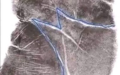 EL SIGNIFICADO DE LA LETRA M EN LA MANO