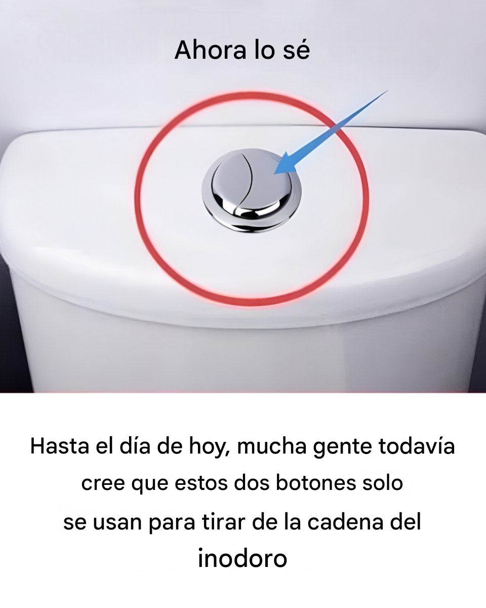 Mucha gente piensa que estos dos botones solo se usan para tirar de la cadena del inodoro.
