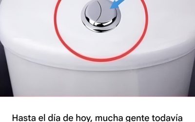 Mucha gente piensa que estos dos botones solo se usan para tirar de la cadena del inodoro