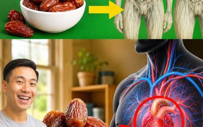 What Happens When You Eat Just 3 Dates a Day? Surprising Benefits Backed by Science