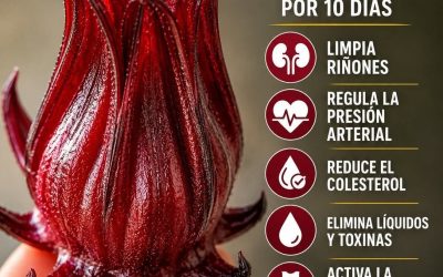 El Poder del Té Rojo: La Verdad Sobre la Flor de Jamaica con Limón y Cómo Desinflama tu Cuerpo