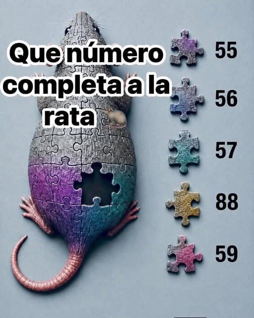 Escribe “sí” para averiguar la respuesta correcta…