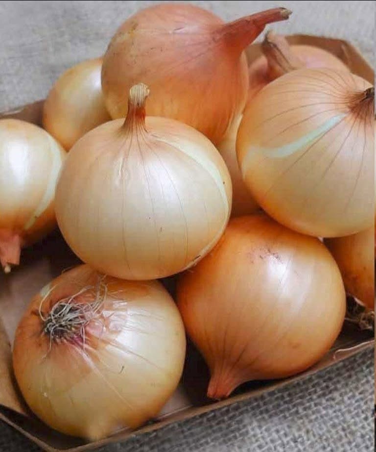 Doctors Reveal That Eating Onions Causes… Good Things!