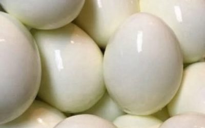 ¿Consumir huevos cocidos regularmente beneficia o perjudica al hígado?