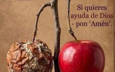Un mensaje de Dios que no puedes ignorar hoy