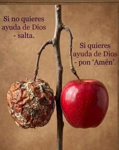 Un mensaje de Dios que no puedes ignorar hoy
