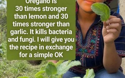 El orégano es 30 veces más fuerte que el limón y 30 veces más fuerte que el ajo. Mata bacterias y hongos. Te daré la receta a cambio de un simple OK.