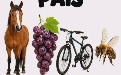 Adivina el país! ¿Puedes resolver este divertido acertijo? Para descubrir la respuesta Continúa en el primer comentario..
