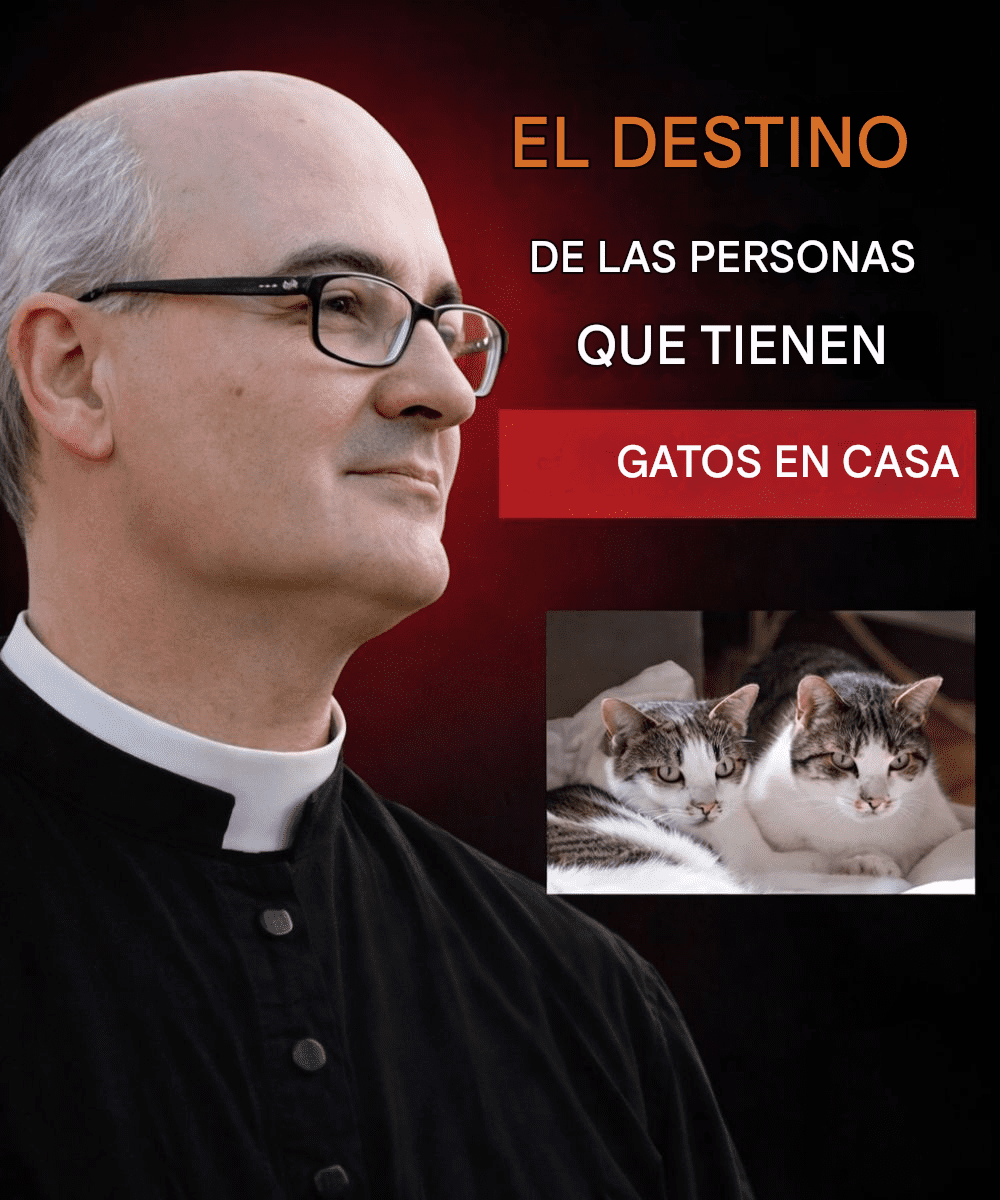 Reflexiones espirituales sobre el significado de tener gatos en casa.