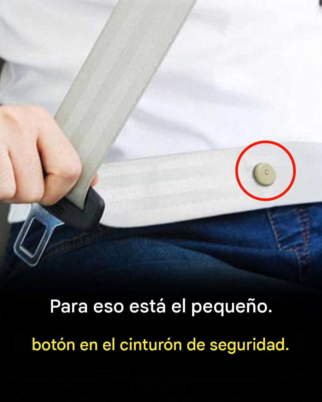¿Sabes para qué sirve ese botoncito del cinturón de seguridad? ¡Descubre más en los comentarios!⬇️