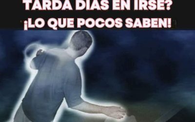 Lo que dice la ciencia sobre 😯 Ver más…