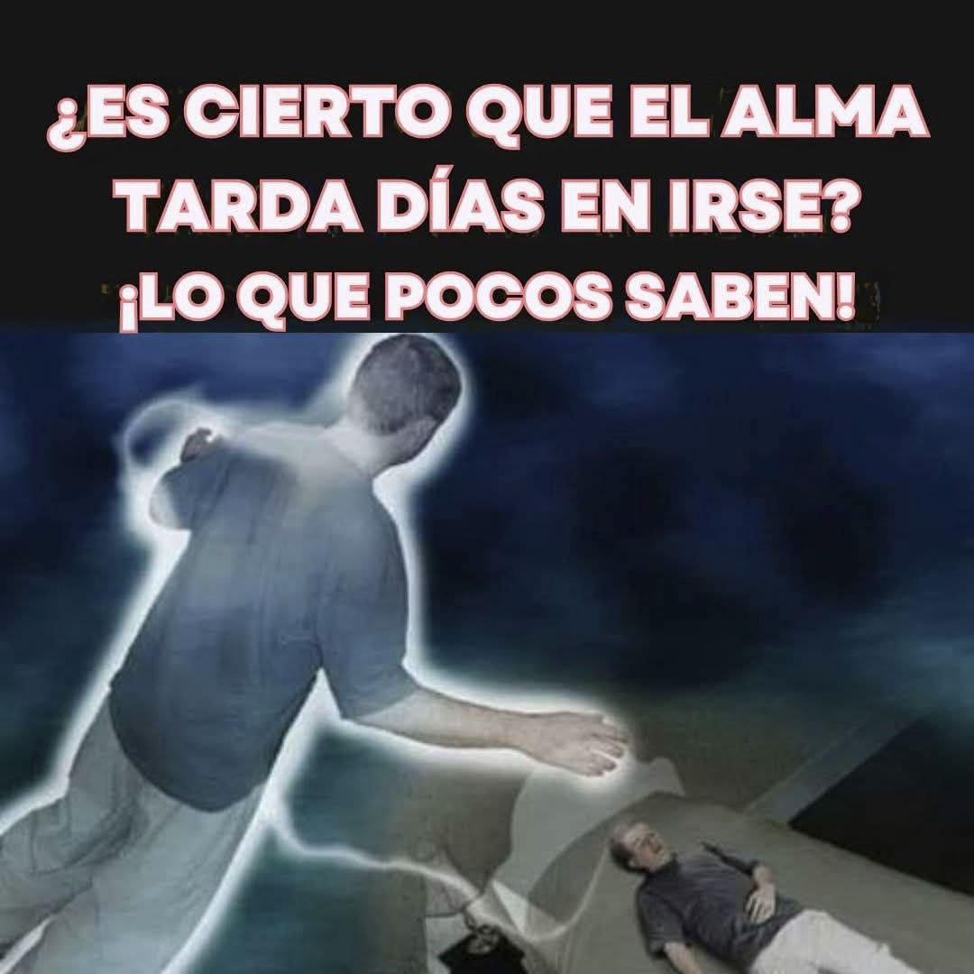 Lo que dice la ciencia sobre 😯 Ver más…