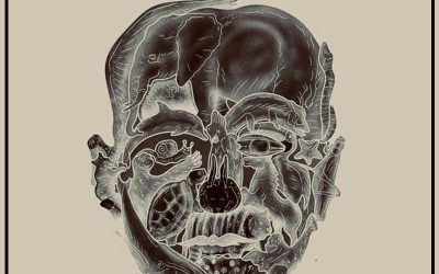 El curioso test visual que promete revelar tu ‘peor defecto’ según el primer animal que veas