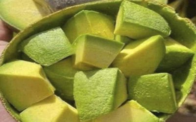 Médicos revelan q el consumo d aguacate provoca in….ver más