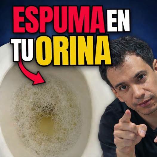 El riesgo de la espuma en tu orina. 🤔🤯… Ver más