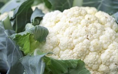 Los médicos revelan que la coliflor causa… ….Ver más