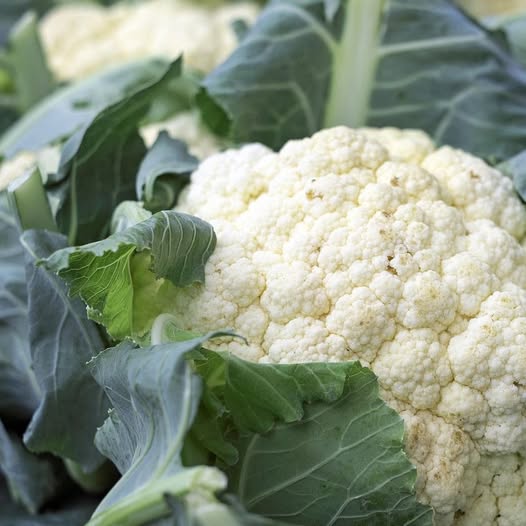 Los médicos revelan que la coliflor causa… ….Ver más