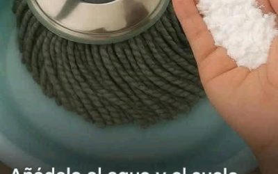 Coloca este ingrediente en tu cubo y en el suelo