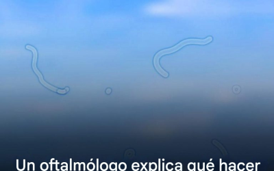 ¿Qué son las miodesopsias? Esto es lo que debe hacer si las observa: