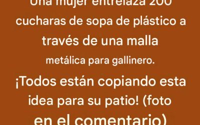 Lady teje 200 cucharas de plástico para sopa a través de malla metálica para gallinas. ¡Todo el mundo está copiando esta idea para su patio!