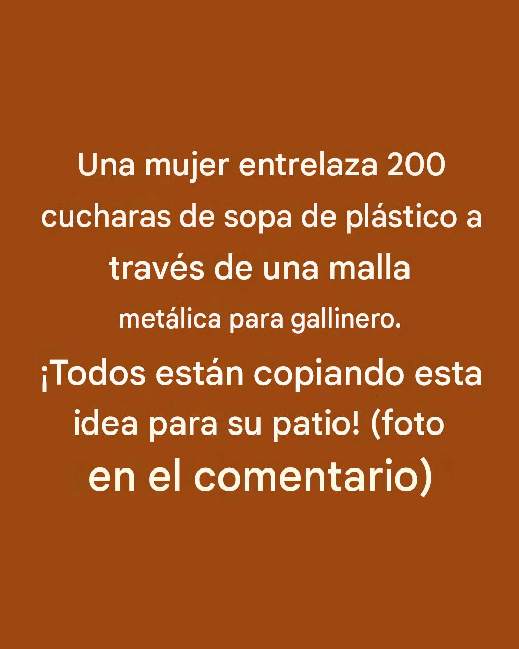 Lady teje 200 cucharas de plástico para sopa a través de malla metálica para gallinas. ¡Todo el mundo está copiando esta idea para su patio!