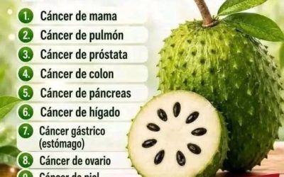 La Guanábana: Propiedades, Beneficios y Lo Que Dice la Ciencia Sobre Esta Fruta Tropical
