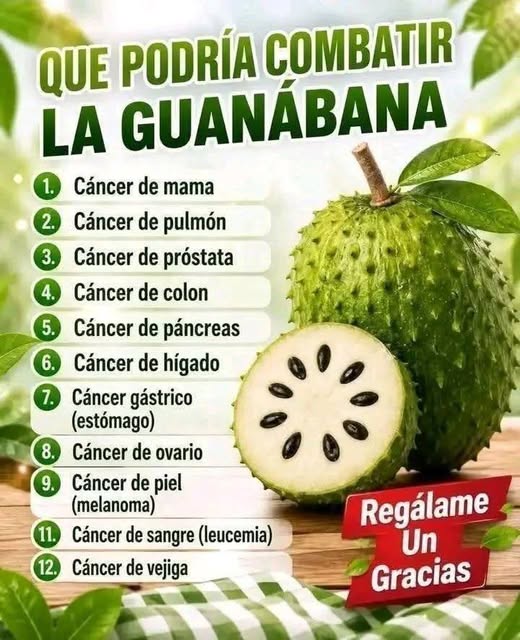 La Guanábana: Propiedades, Beneficios y Lo Que Dice la Ciencia Sobre Esta Fruta Tropical