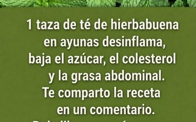 Menta: Una planta milagrosa para la saludMenta: Una planta milagrosa para la salud