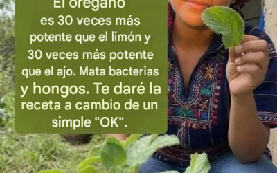 El orégano es 30 veces más potente que el limón y 30 veces más potente que el ajo. Elimina bacterias y hongos. Te doy la receta a cambio de un simple “OK”.