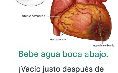 ¿Sabías que beber agua con el estómago vacío puede ser…