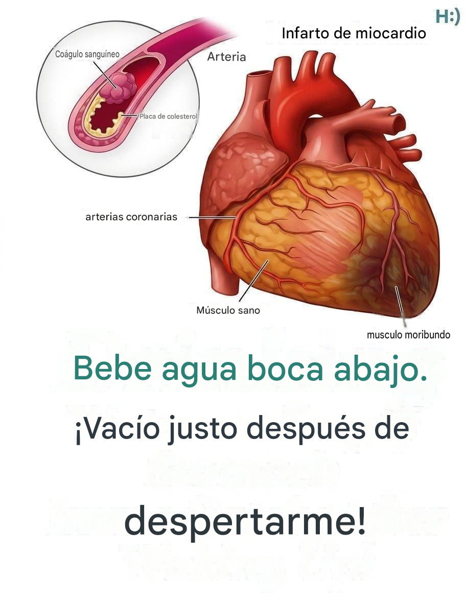 ¿Sabías que beber agua con el estómago vacío puede ser…