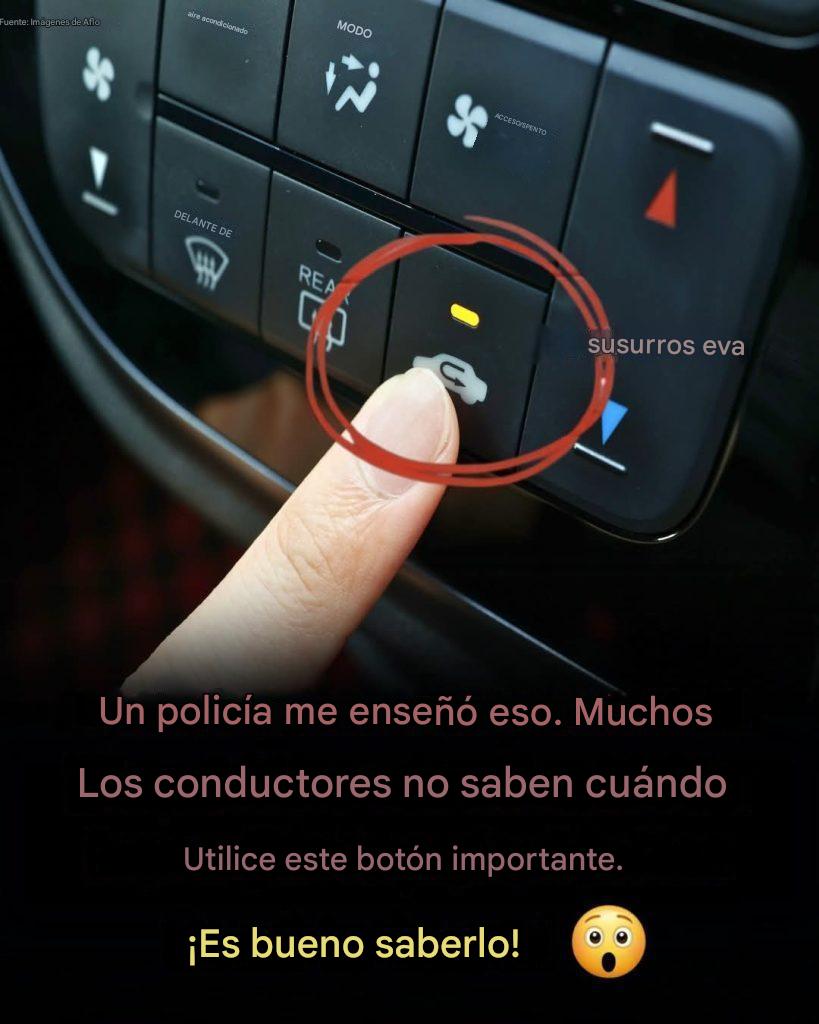 El botón en el tablero que la mayoría de los conductores ignora y por qué es realmente importante