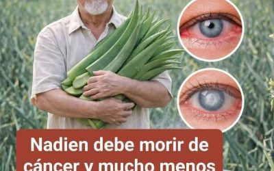 7 Beneficios Científicos del Aloe Vera y Cómo Prepararlo en Casa