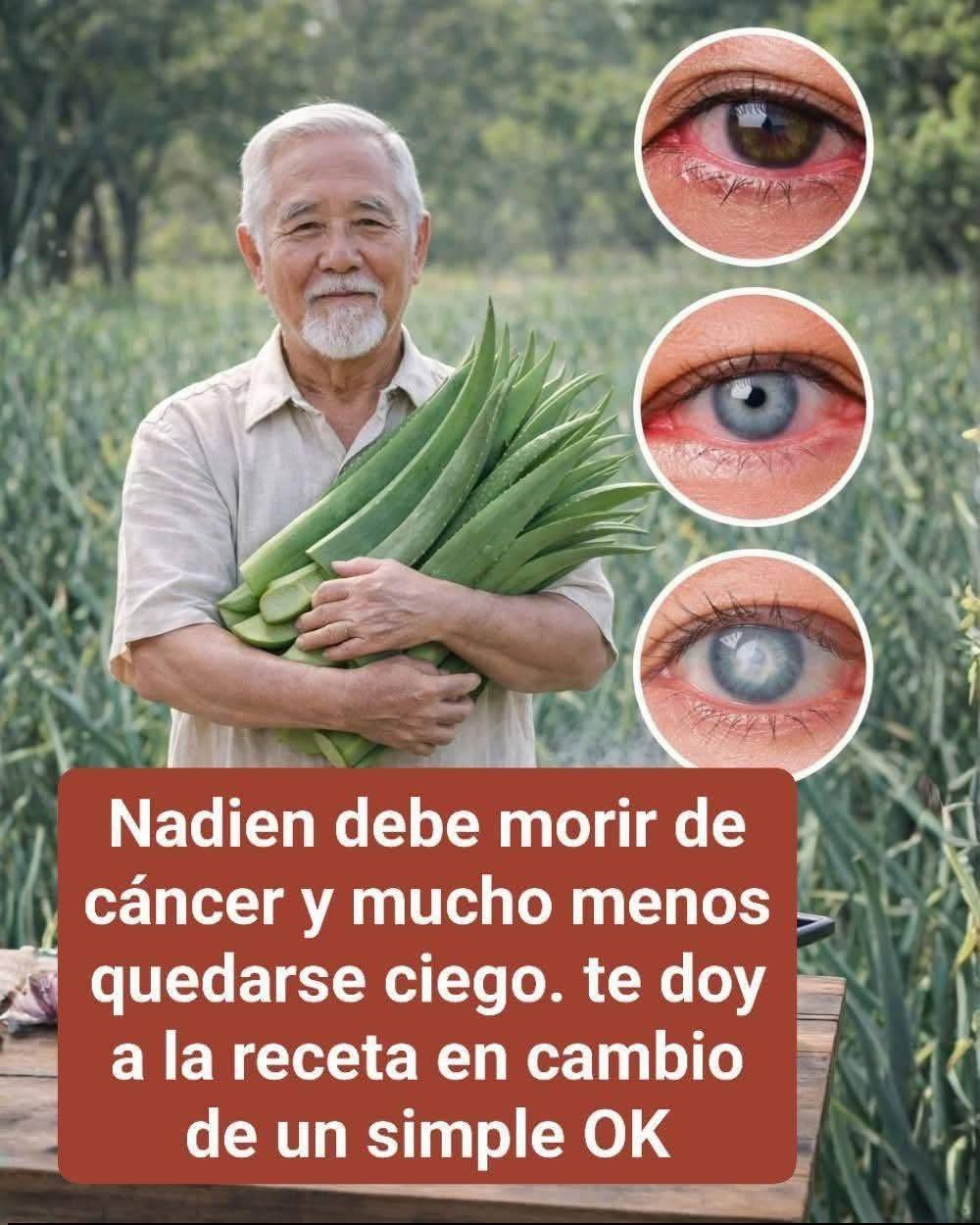 7 Beneficios Científicos del Aloe Vera y Cómo Prepararlo en Casa